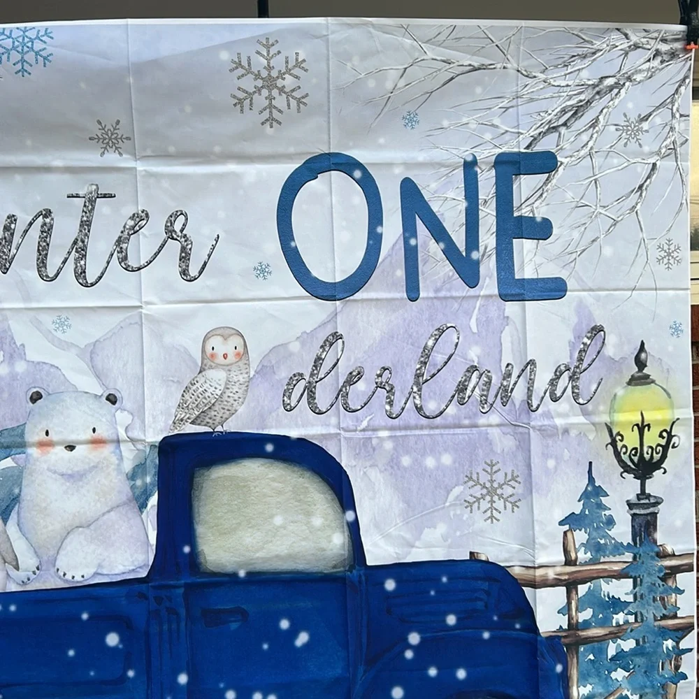 Winter one derland, backdrop, birthday, blue, and white, 5 x 6, New